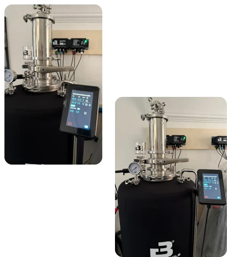 Ecco cosa ti aspetta